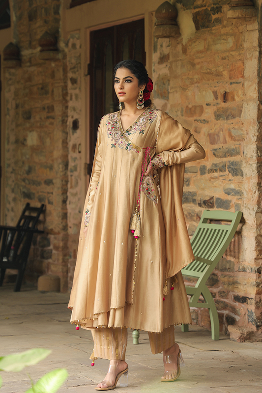 Zardozi Paisley Anarkali