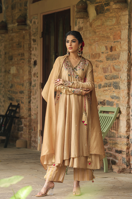 Zardozi Paisley Anarkali