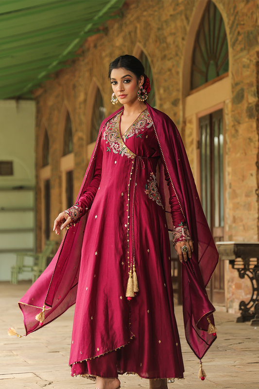 Zardozi Paisley Anarkali