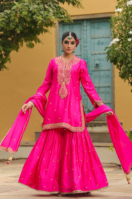 Bird Embroidered Sharara Light