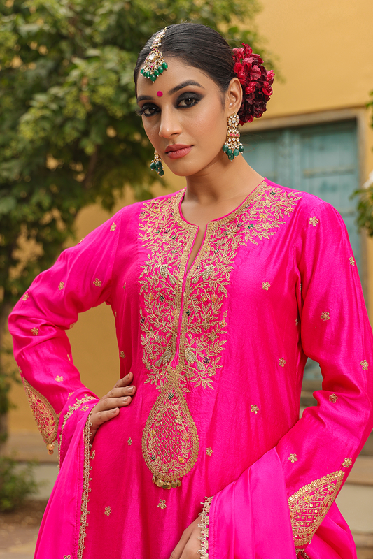 Bird Embroidered Sharara Light