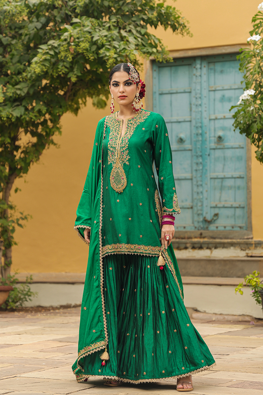 Bird Embroidered Sharara Light