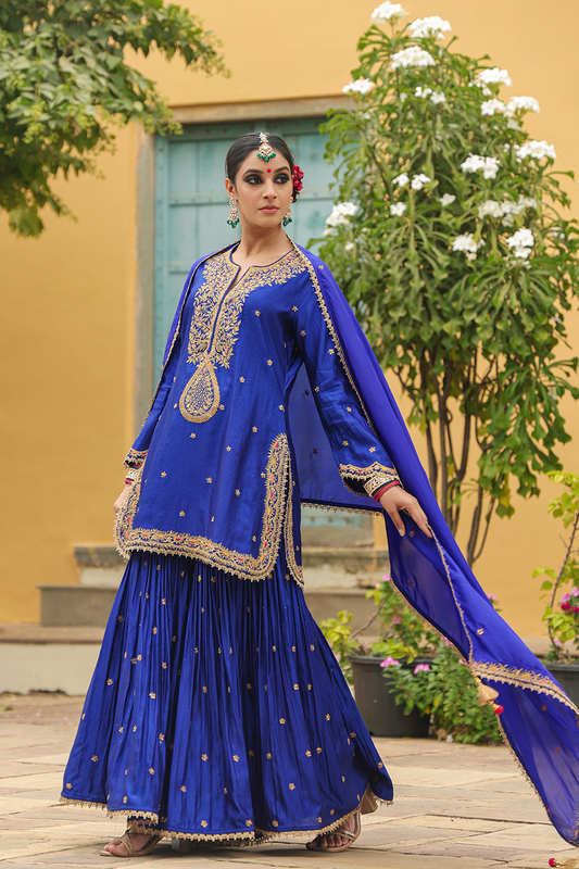 Bird Embroidered Sharara Light