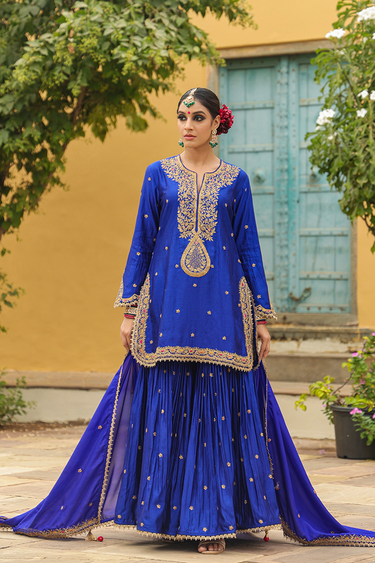 Bird Embroidered Sharara Light
