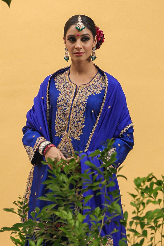 Bird Embroidered Sharara Light