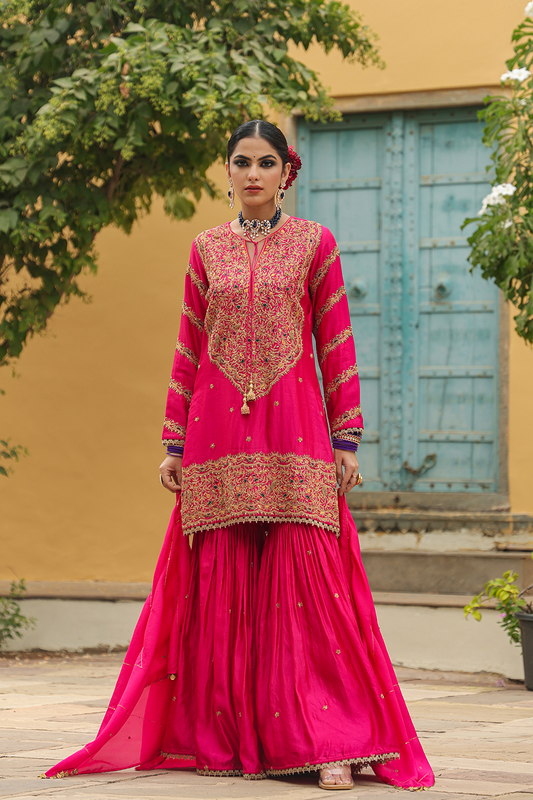 Bird Embroidered Sharara Heavy