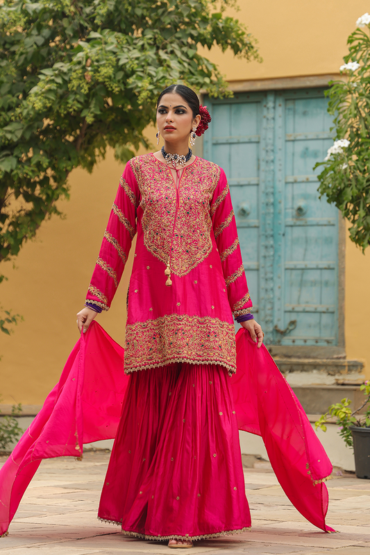 Bird Embroidered Sharara Heavy