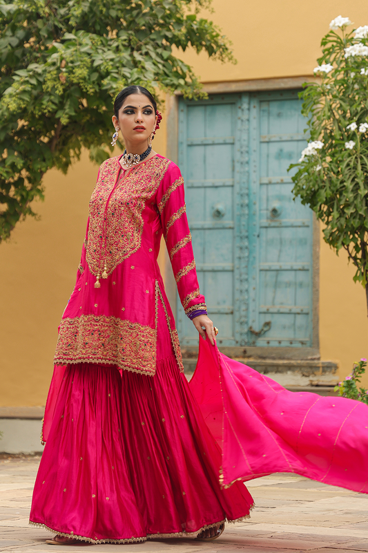 Bird Embroidered Sharara Heavy