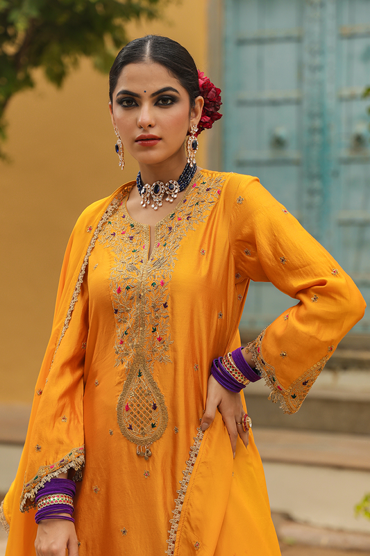 Bird Embroidered Sharara Light