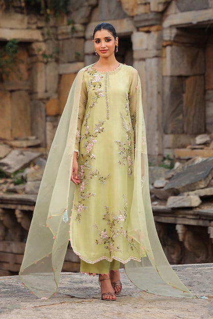 Vaayu Green Multicolor Jaal Kurta Set