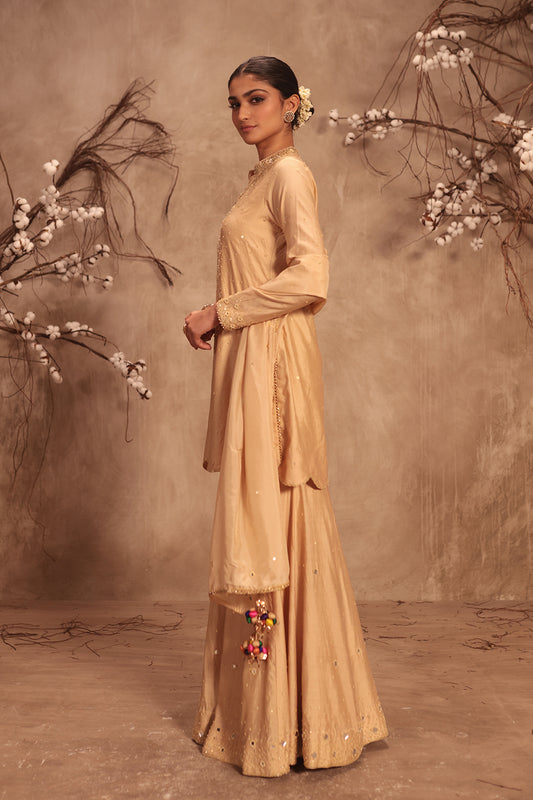 Nazakat Ivory Heavy Mirror Work Sharara Set