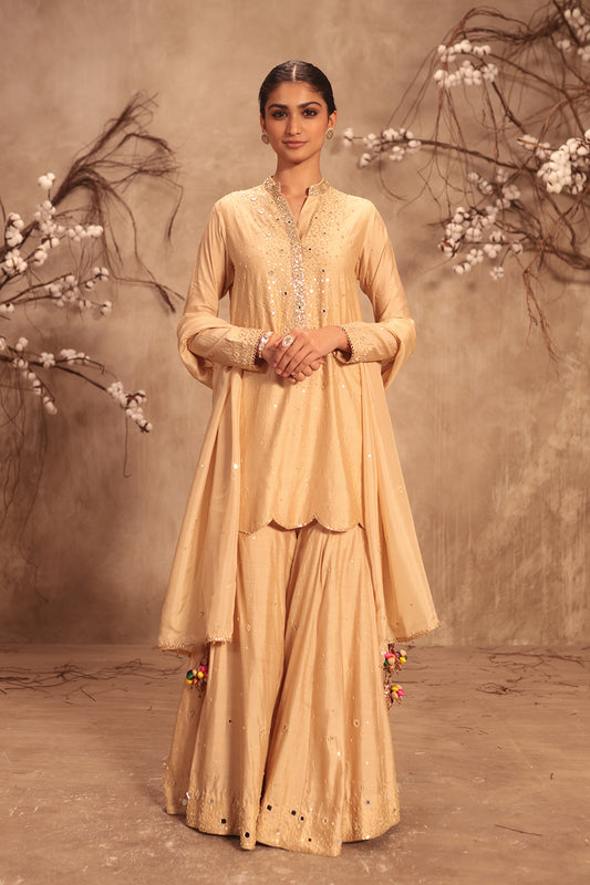 Nazakat Ivory Heavy Mirror Work Sharara Set