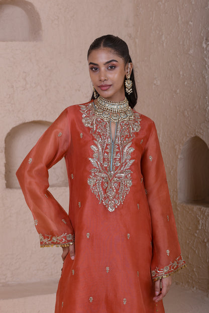Rangrez Orange Straight Long Kurta Set