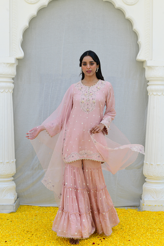 Pink Reef Light Sharara