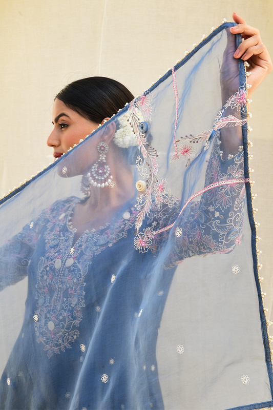 Blue Reef Anarkali