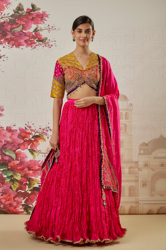 Multi Color Bird Embroidered Crushed Lehenga