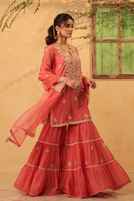 Vaayu Pink Sharara Set