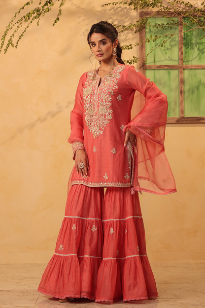 Vaayu Pink Sharara Set