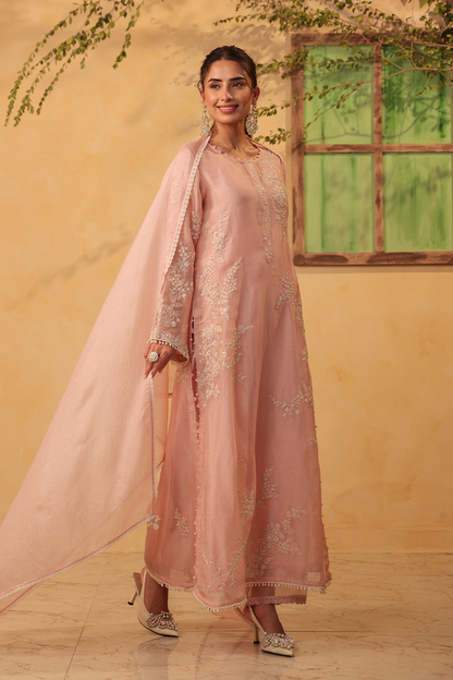 Vaayu Light Pink Jaal Straight Kurta Set