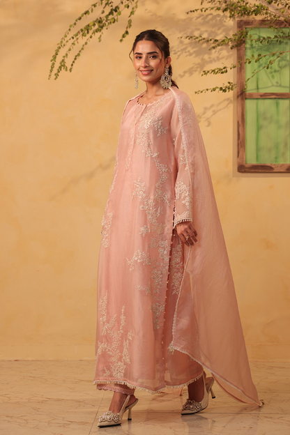 Vaayu Light Pink Jaal Straight Kurta Set