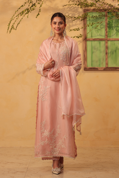 Vaayu Light Pink Jaal Straight Kurta Set