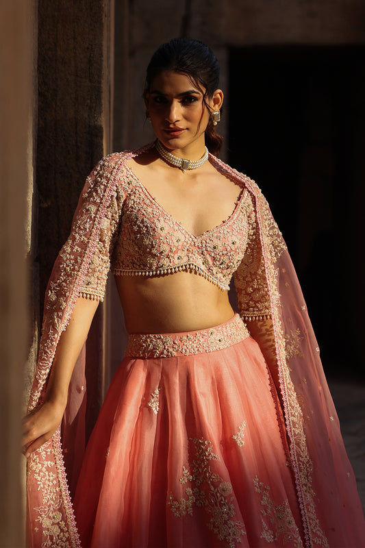 Vaayu Pink Guldasta Lehenga Set