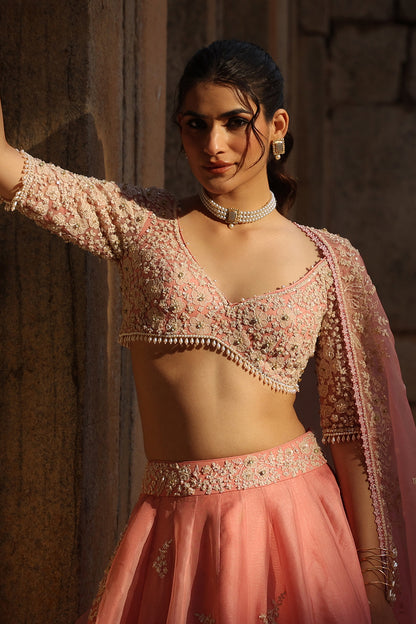 Vaayu Pink Guldasta Lehenga Set