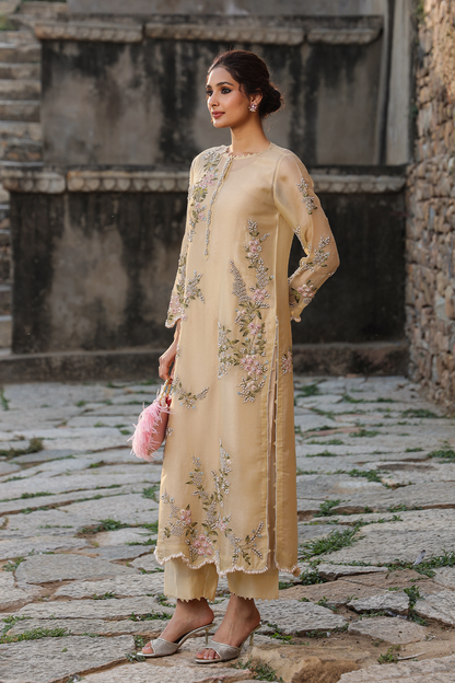 Vaayu Beige Multicolor Jaal Kurta Set