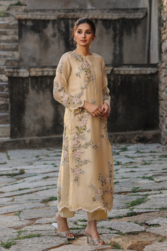 Vaayu Beige Multicolor Jaal Kurta Set