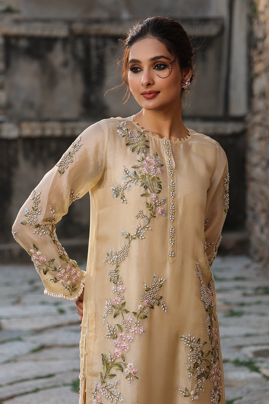 Vaayu Beige Multicolor Jaal Kurta Set