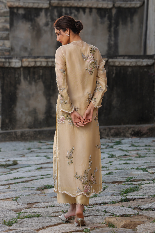 Vaayu Beige Multicolor Jaal Kurta Set