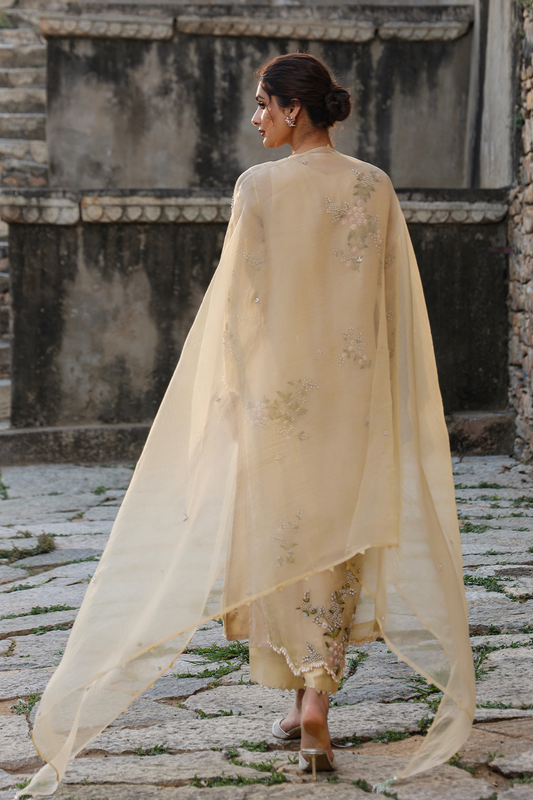 Vaayu Beige Multicolor Jaal Kurta Set