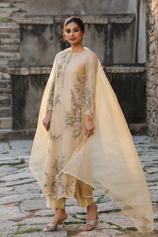 Vaayu Beige Multicolor Jaal Kurta Set