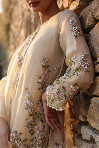 Vaayu Beige Multicolor Jaal Kurta Set