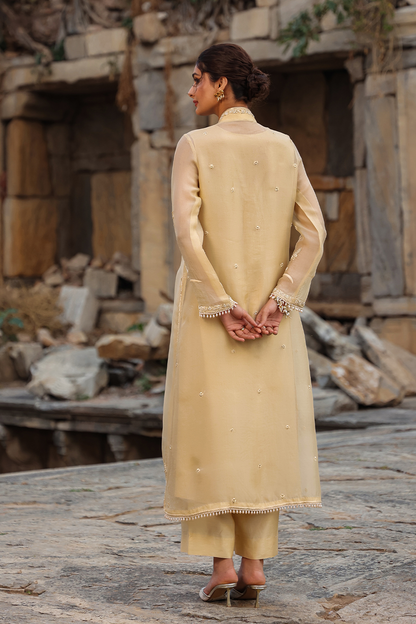 Vaayu Beige Heavy Jacket Kurta Set