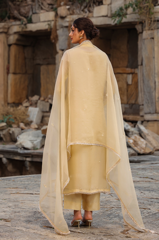 Vaayu Beige Heavy Jacket Kurta Set