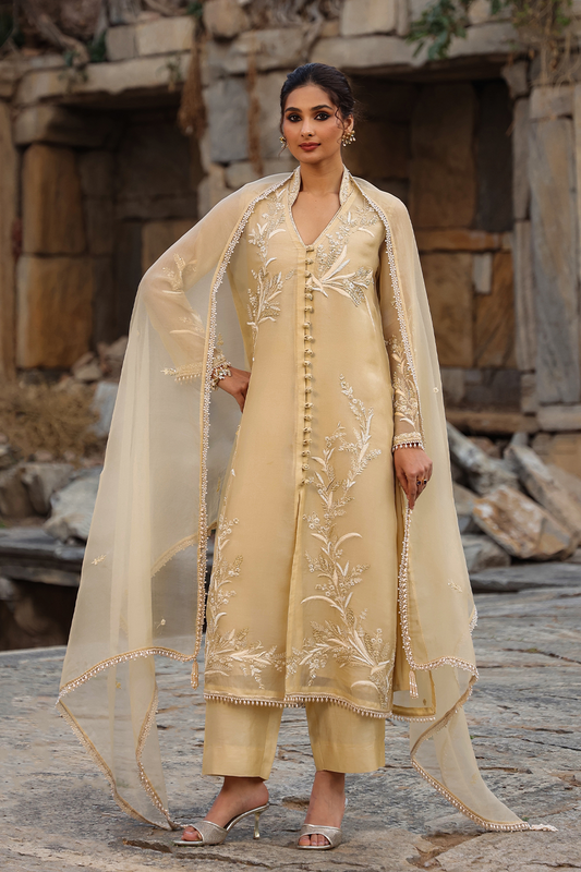 Vaayu Beige Heavy Jacket Kurta Set