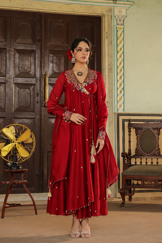 Zardozi Paisley Anarkali