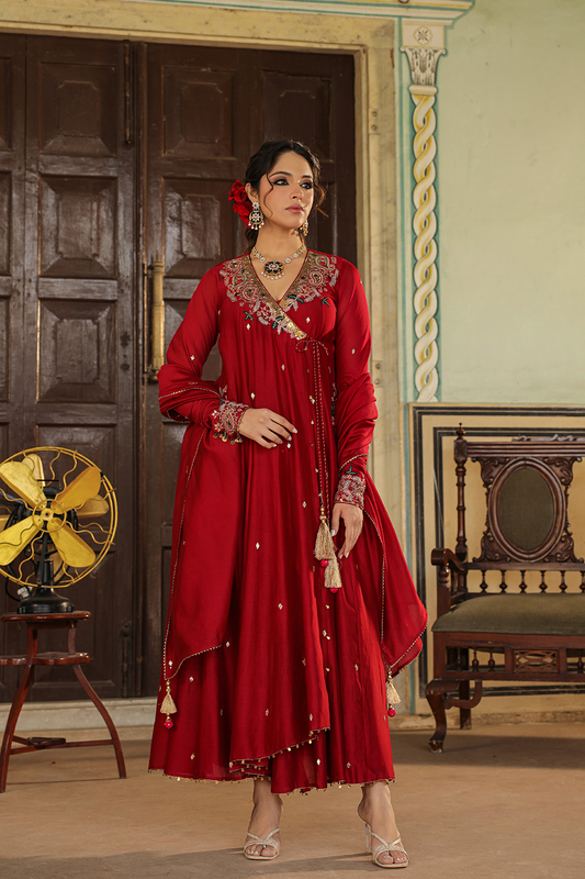 Zardozi Paisley Anarkali