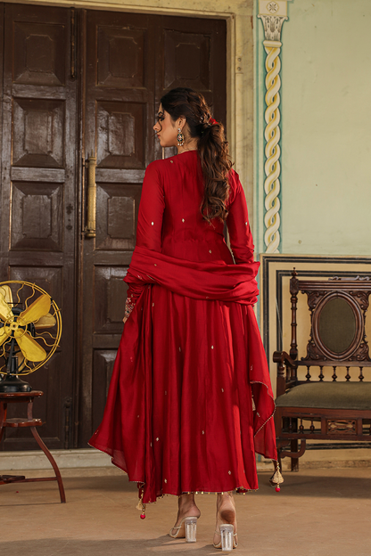 Zardozi Paisley Anarkali