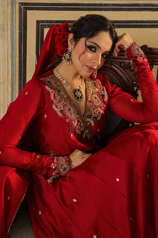 Zardozi Paisley Anarkali