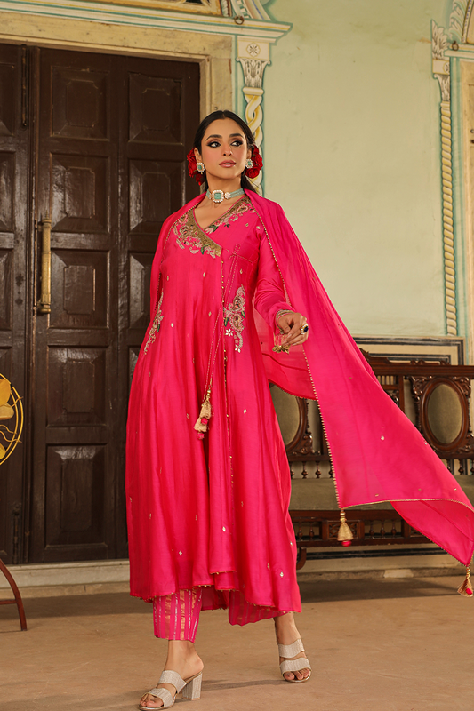 Zardozi Paisley Anarkali