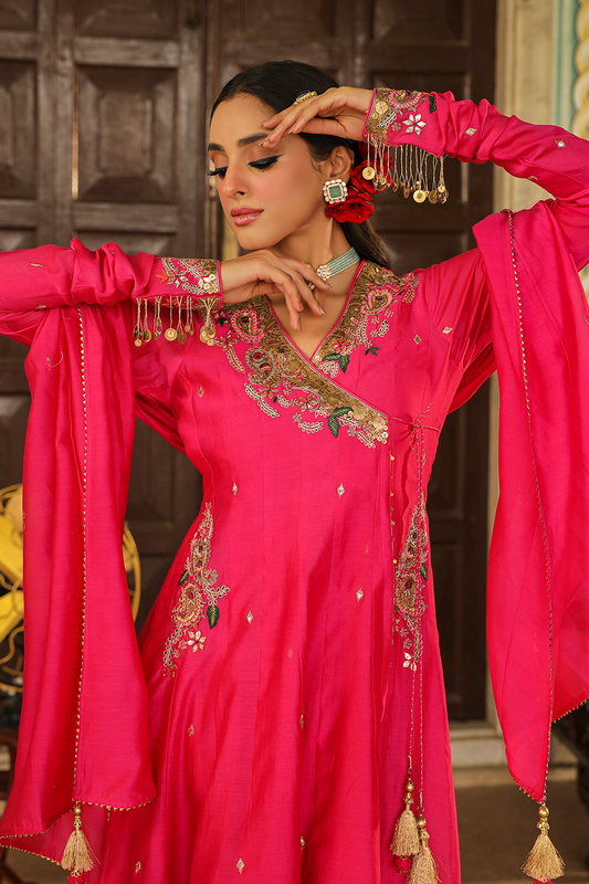 Zardozi Paisley Anarkali