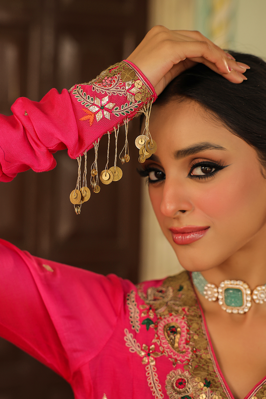 Zardozi Paisley Anarkali