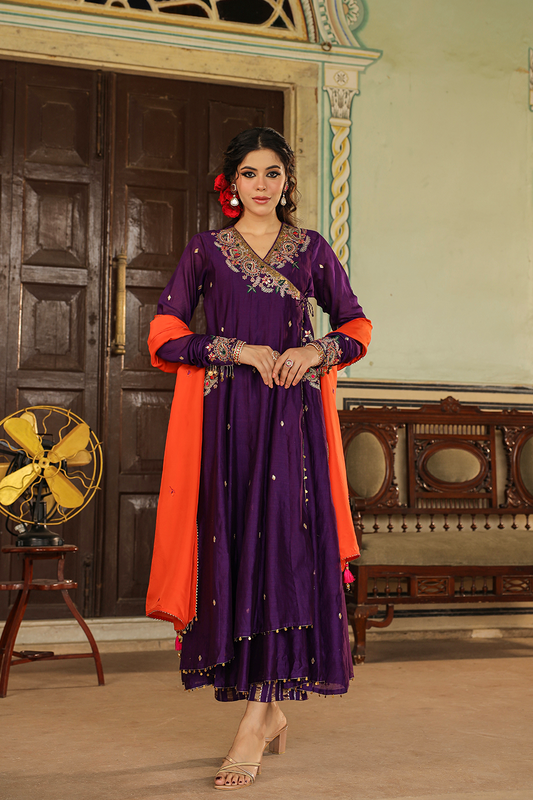 Zardozi Paisley Anarkali