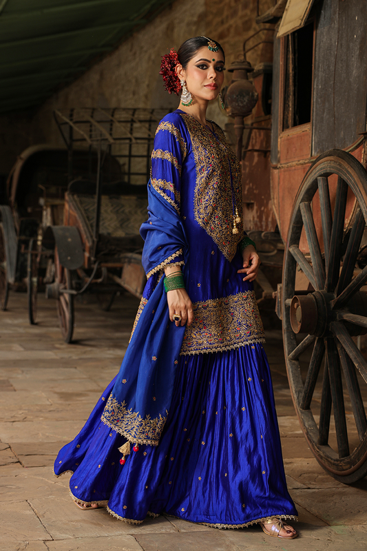 Bird Embroidered Sharara Heavy