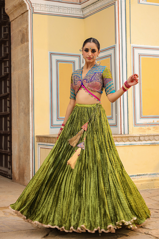 Multi Colour Bird Embroidered Crushed Lehenga