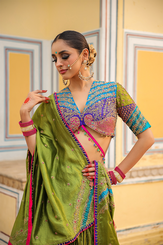 Multi Colour Bird Embroidered Crushed Lehenga