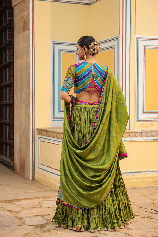 Multi Colour Bird Embroidered Crushed Lehenga
