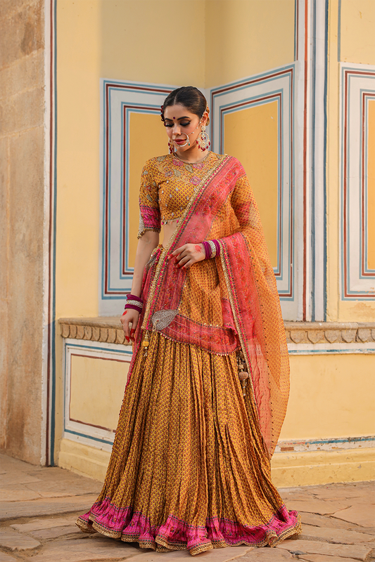 Cheent Print Floral Applique Crushed Lehenga